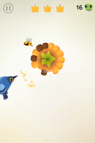 pigeon疯狂的鸽子 第8张图