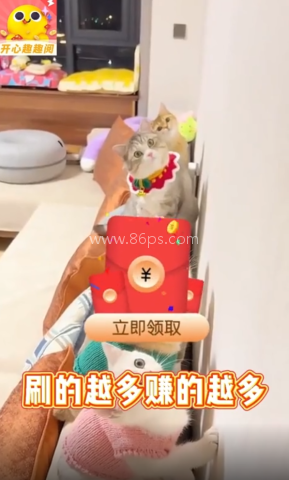 趣阅极速版