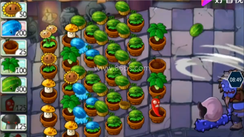pvz长城版 第2张图