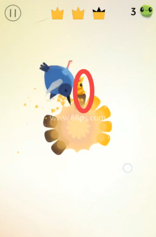 pigeon疯狂的鸽子 第4张图
