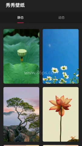 秀秀壁纸 第2张图