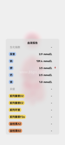 生命模拟器中文版