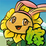 植物大战僵尸嫁接板