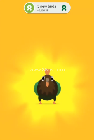 pigeon疯狂的鸽子 第15张图