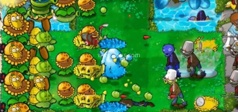 植物大战僵尸杂交版apk 第4张图