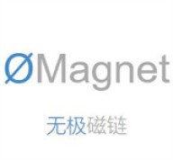 无极磁链