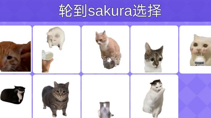 Meme的毒药