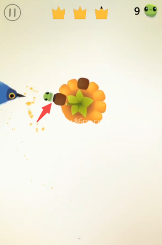 pigeon疯狂的鸽子 第5张图