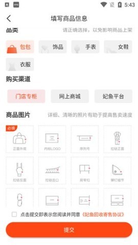 妃鱼 第3张图