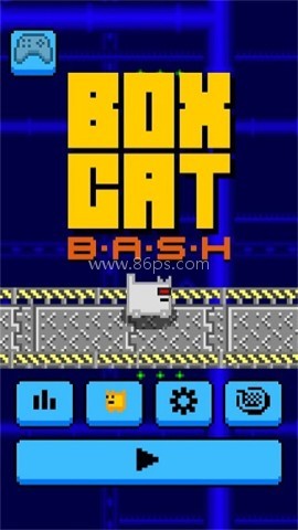 盒子猫归来
