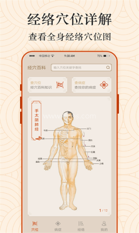 经络图解