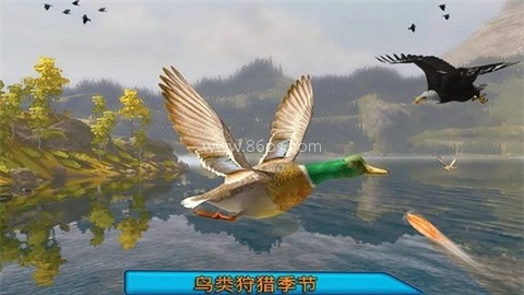 沙漠鸟类狙击手（Desert Birds Sniper Hunter）