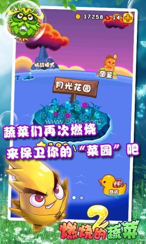 燃烧的蔬菜2正版