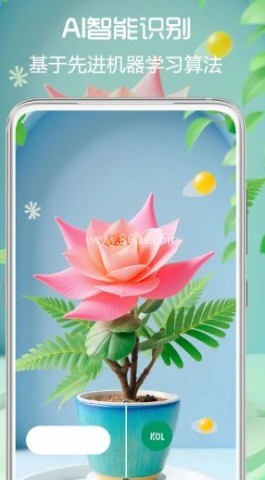 拍照识花君 第1张图