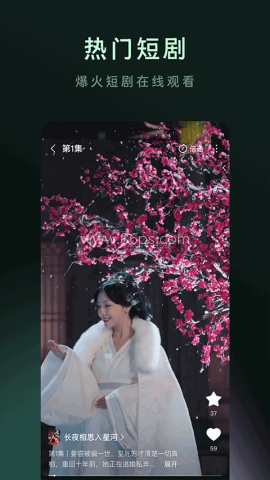 木叶短剧手机版