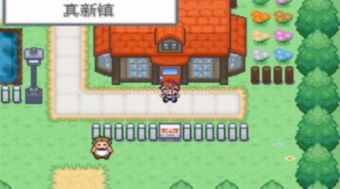 口袋暴龙修复版 第1张图