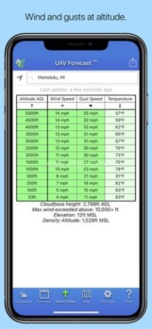UAV Forecast