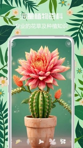拍照识花君