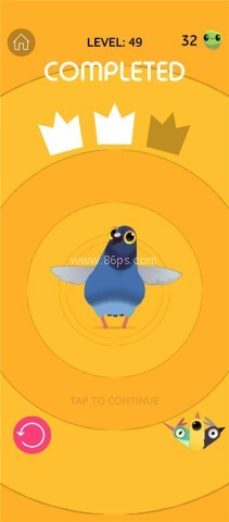 pigeon疯狂的鸽子