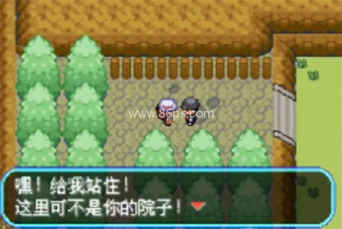 口袋暴龙修复版