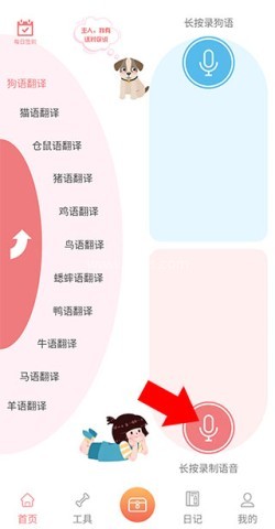 动物语言翻译器 第4张图