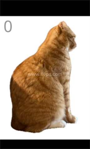 给猫梳毛游戏 第2张图