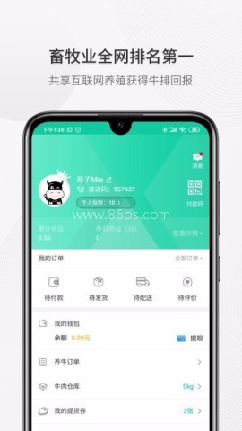 全民养牛