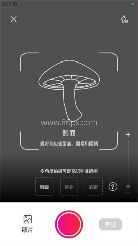 蘑菇识别扫一扫 第2张图