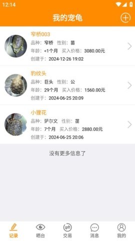 龟圈江湖