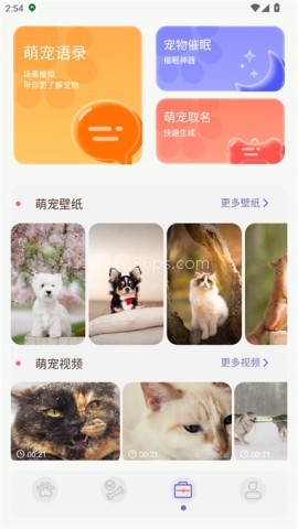 猫咪聊天翻译器 第3张图
