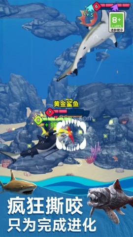 美味海洋进化