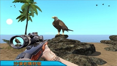 沙漠鸟类狙击手（Desert Birds Sniper Hunter）