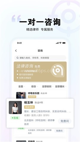 直问大律师