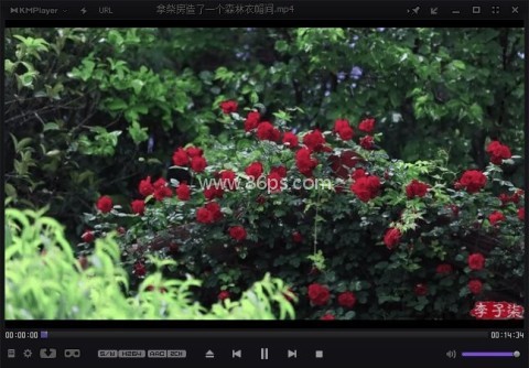 kmplayer播放器 第10张图
