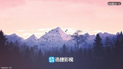 迅捷影视tv