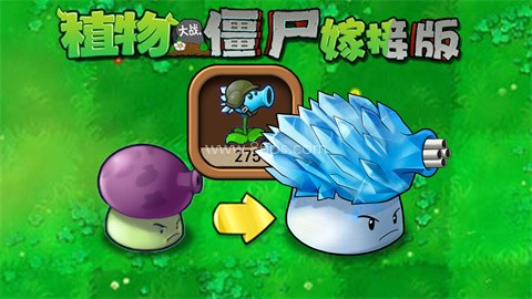 植物大战僵尸嫁接板