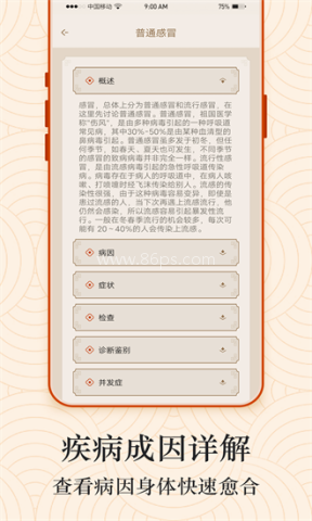 经络图解 第1张图