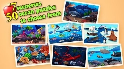 海洋拼图