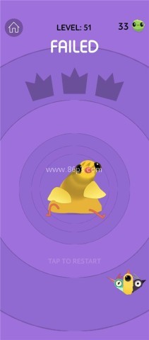 pigeon疯狂的鸽子