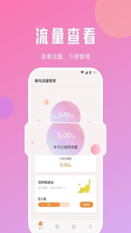 蜂鸟流量管家