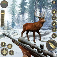 丛林鹿狩猎(jungle deer hunting)