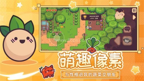 大头菜小子避税历险记
