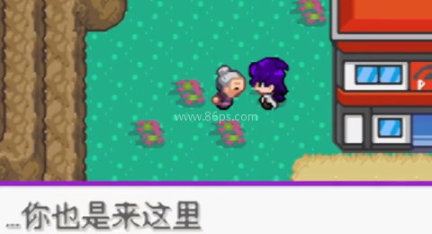 口袋妖怪百万能量 第5张图