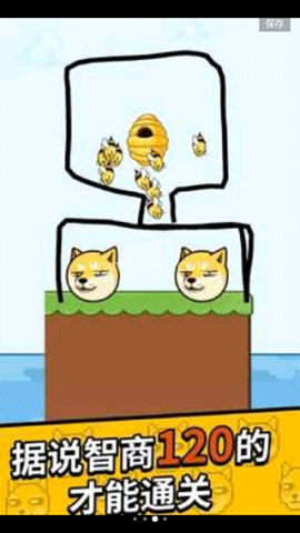 王牌大挑战救救狗狗