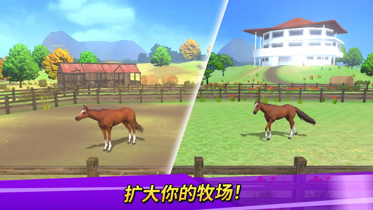 德比生活（Derby Life）