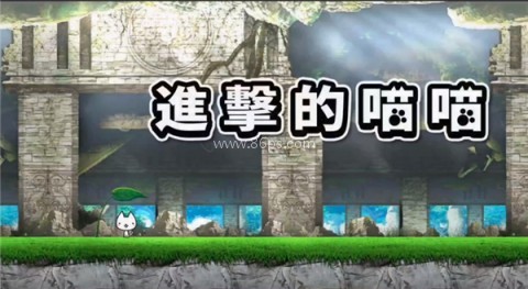 进击的喵喵 第1张图