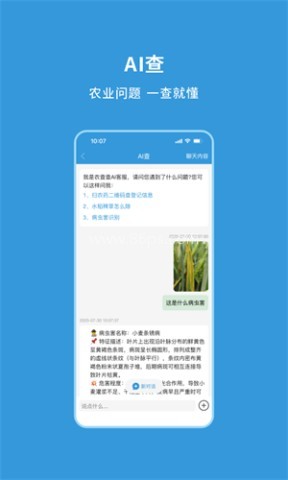 农查查