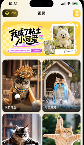 宠玩 第3张图