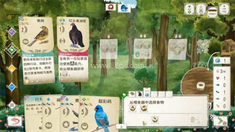 展翅翱翔桌游