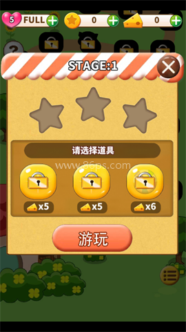 仓鼠生活